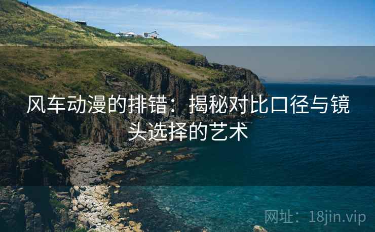 风车动漫的排错：揭秘对比口径与镜头选择的艺术